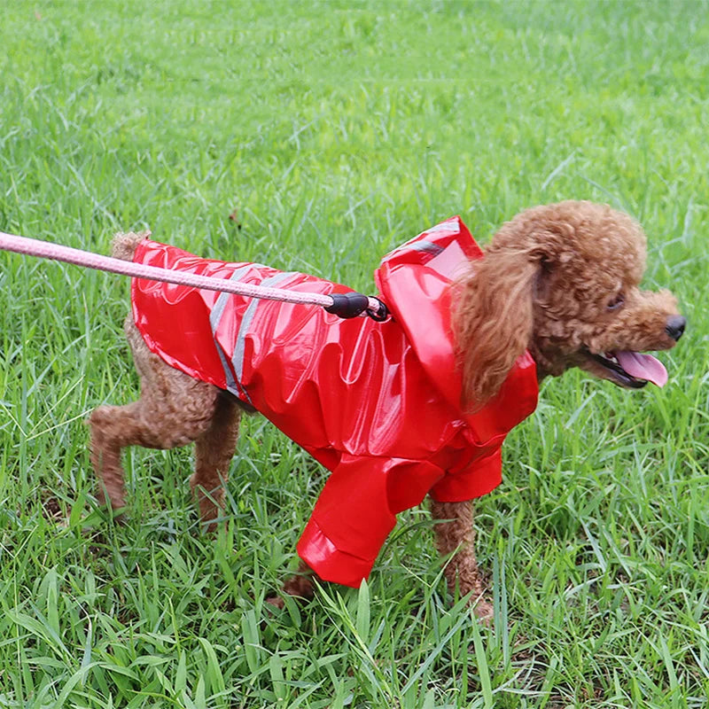 Reflective Waterproof Dog Raincoat for Small Pets-My Little Pet