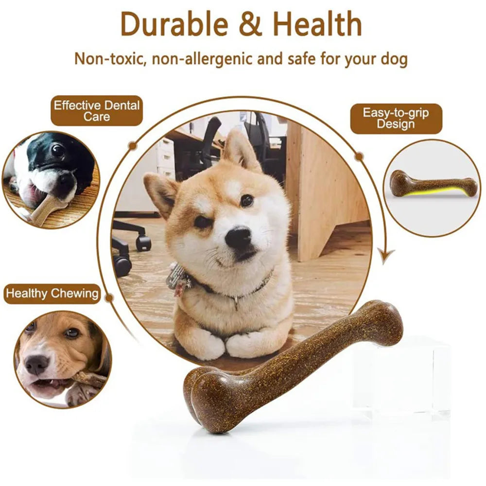Durable Dog Chew Toys for Dental Health and Play - Suitable for All Sizes-My Little Pet