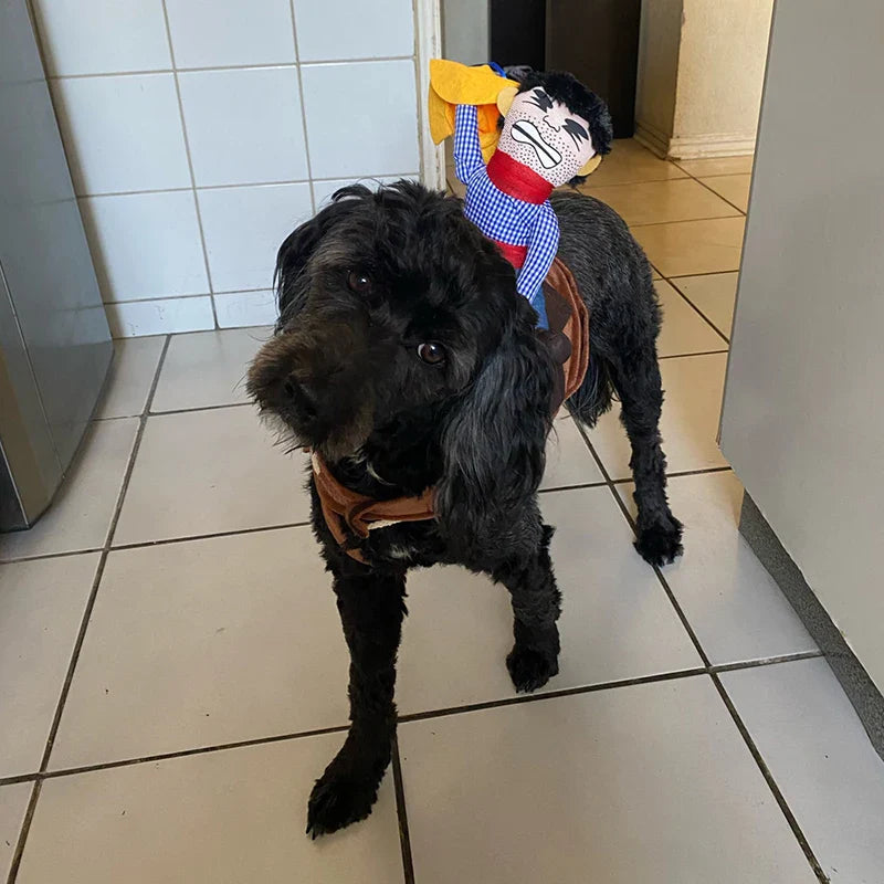 Creative Pet Costumes for Dogs and Cats - Halloween and Party Outfits-My Little Pet