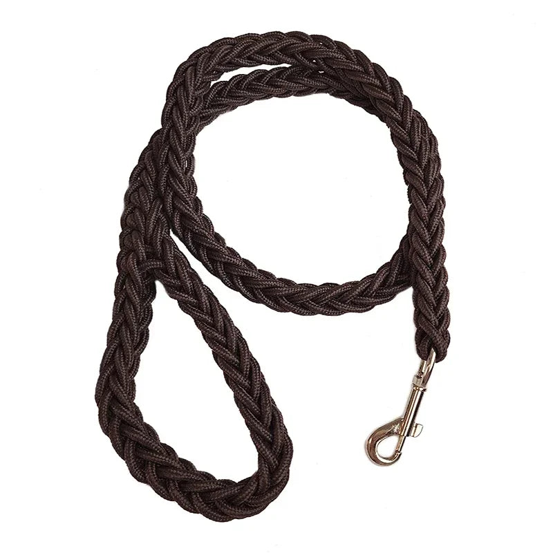 Nylon Dog Leash for Medium to Large Dogs – Training & Walking Lead - My Little Pet