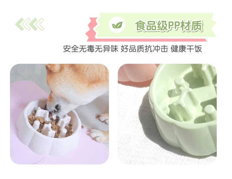 Anti-Choking Slow Feeder Bowl for Dogs and Cats-My Little Pet