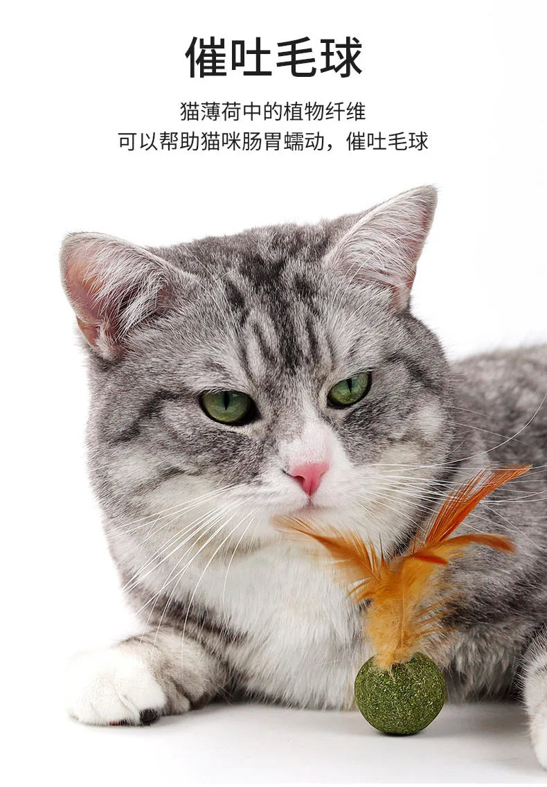 Feather Catnip Ball Toy for Cats - Enhances Digestion and Dental Health-My Little Pet