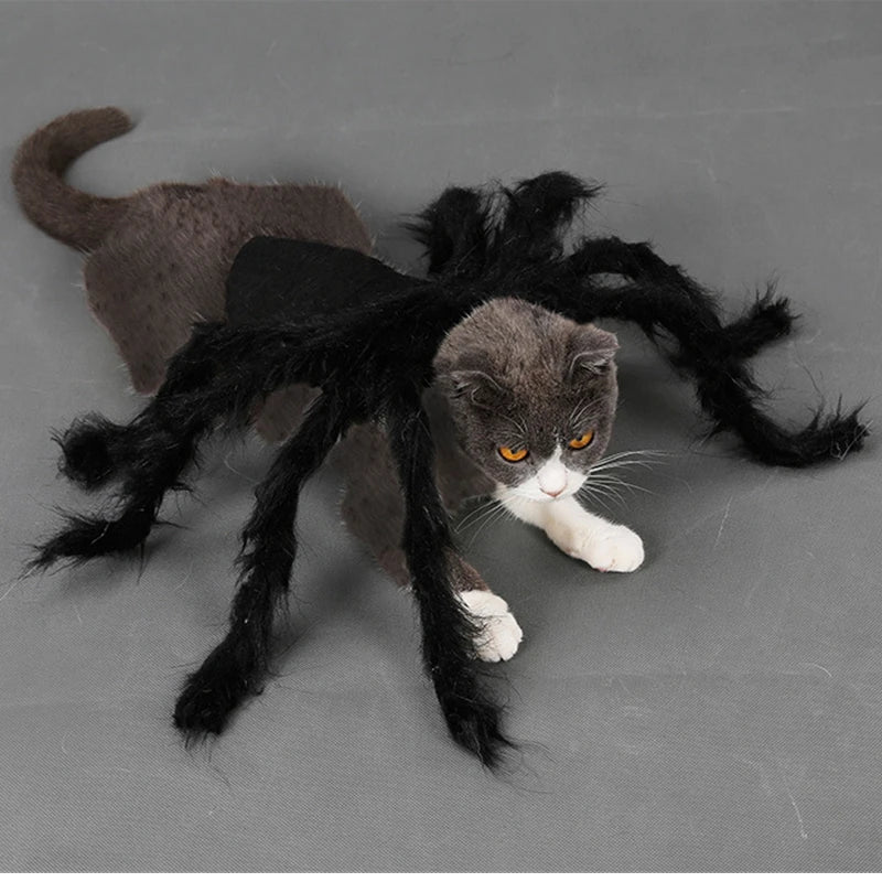Spider Costume for Pets: Halloween Cosplay for Dogs and Cats-My Little Pet