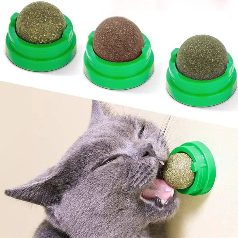 Cat Scratching Post with Catnip - Wall-Mounted Toy for Cats-My Little Pet