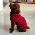 Classic Winter Sweater for Small Dogs - Warm Knit Pullover for Chihuahua, Yorkshire, Schnauzer-My Little Pet