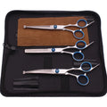 6 Piece Pet Grooming Scissors Set – Curved, Thinning, and Straight Shears with Comb - My Little Pet