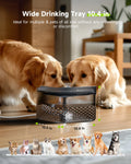 APETDOLA Large Capacity Pet Water Fountain - Ultra-Quiet Pump, Ideal for Multi-Pet Households-My Little Pet