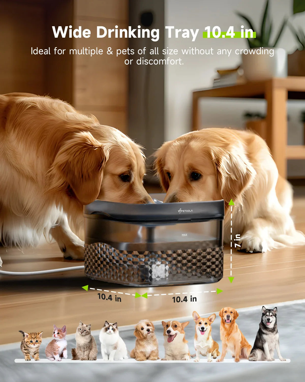 APETDOLA Large Capacity Pet Water Fountain - Ultra-Quiet Pump, Ideal for Multi-Pet Households-My Little Pet