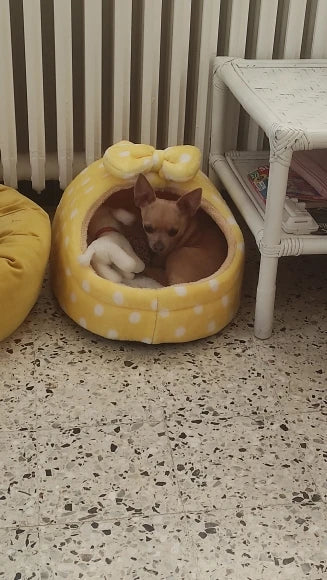 Cozy Pet Bed for Small to Medium Dogs and Cats-My Little Pet