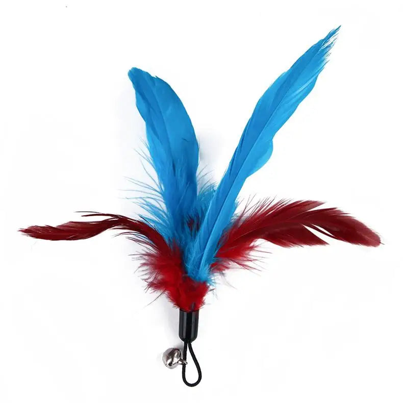 11-Piece Retractable Cat Feather Toy Set-My Little Pet