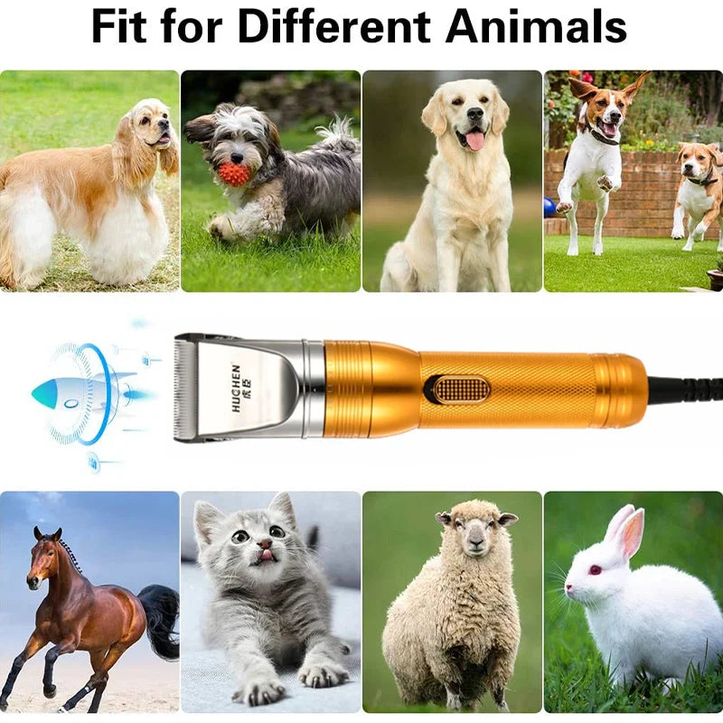 380W Professional Pet Hair Trimmer for Cats, Dogs, Rabbits, and Sheep-My Little Pet