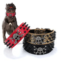Adjustable Spiked Dog Collar for Small to Medium Dogs - Anti-Bite, Studded Design-My Little Pet