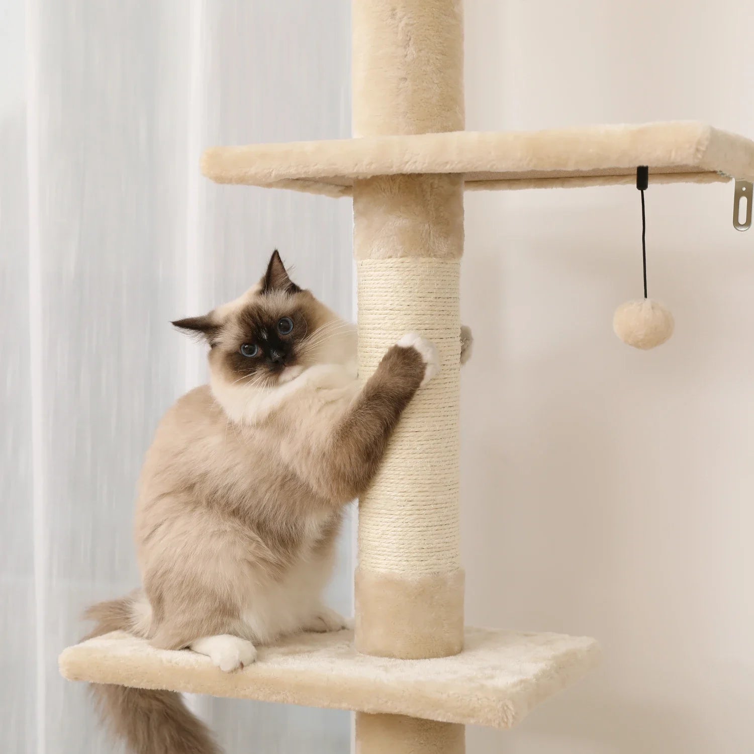 Floor-to-Ceiling Cat Tree - 228-274cm Tall Cat Climbing Tower-My Little Pet