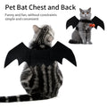 Fashion Cat Bat Wings Halloween Costume-My Little Pet