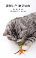 Feather Catnip Ball Toy for Cats - Enhances Digestion and Dental Health-My Little Pet