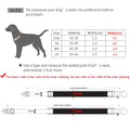 Adjustable Reflective Nylon Dog Collar with AirTag Holder-My Little Pet