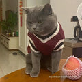 Cozy Autumn/Winter Pet Sweater for Cats and Small Dogs-My Little Pet