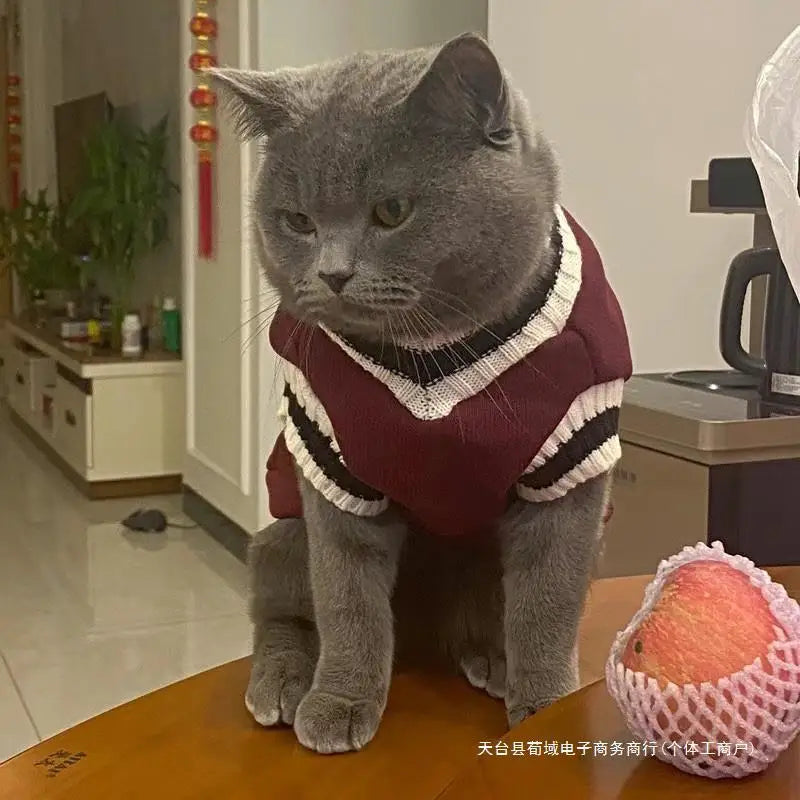 Cozy Autumn/Winter Pet Sweater for Cats and Small Dogs-My Little Pet