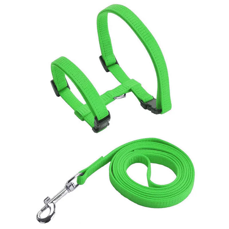 Cat Harness and Leash Set – Lightweight and Adjustable for Outdoor Adventures-My Little Pet