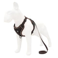 No-Pull Adjustable Dog Harness & Leash Set – Reflective Mesh Vest for Small Dogs & Cats - My Little Pet