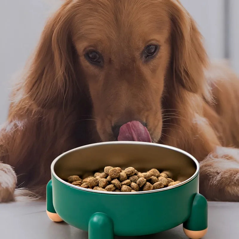 Elevated Stainless Steel Dog Bowl for Enhanced Neck Comfort-My Little Pet