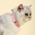 Elegant Black Leather Cat Collar with Gold Star and Moon Rivets-My Little Pet