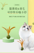 Feather Catnip Ball Toy for Cats - Enhances Digestion and Dental Health-My Little Pet