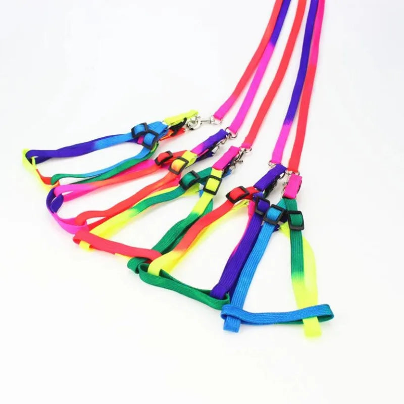Colorful Rainbow Pet Harness and Leash Set-My Little Pet