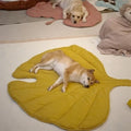 Breathable Leaf-Shaped Pet Mat - Washable and Eco-Friendly for Dogs and Cats-My Little Pet