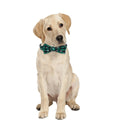 Adjustable Christmas Plaid Dog Collar with Bow Tie and Snowflake Design-My Little Pet
