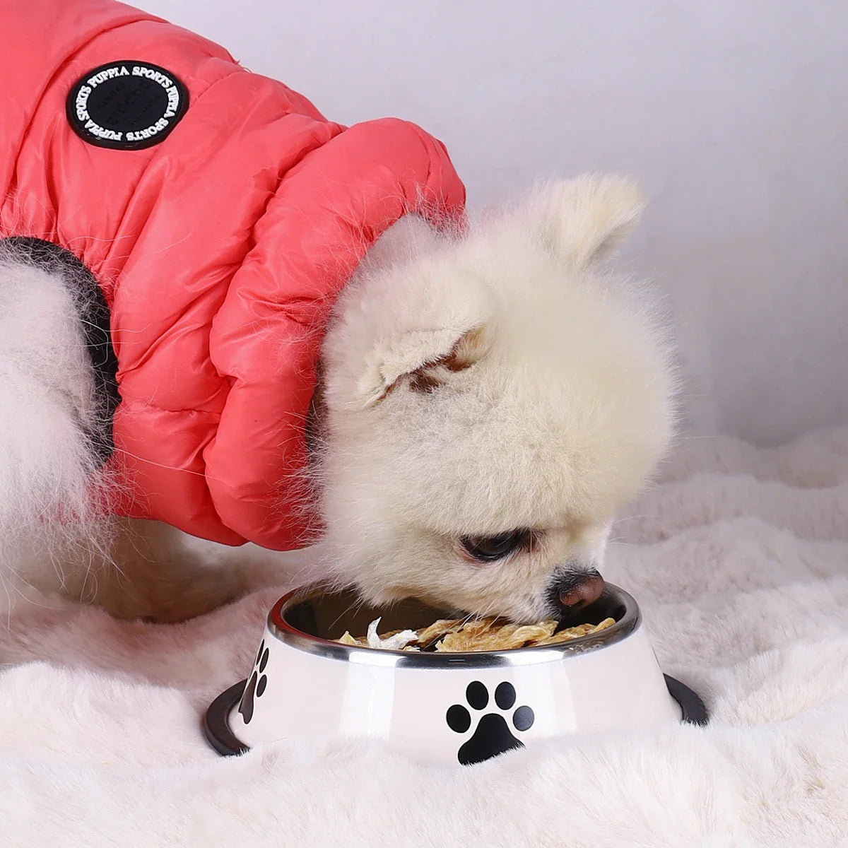 Stainless Steel Pet Bowls with Non-Slip Base – Multiple Sizes - My Little Pet