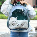 Transparent Bubble Cat Backpack - Portable Breathable Pet Travel Carrier-My Little Pet