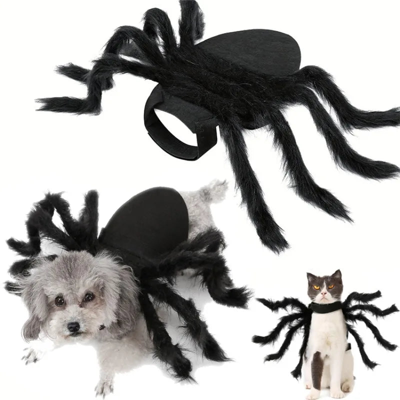 Spider Costume for Pets: Halloween Cosplay for Dogs and Cats-My Little Pet