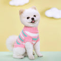 Classic Knit Sweater for Small to Medium Dogs-My Little Pet