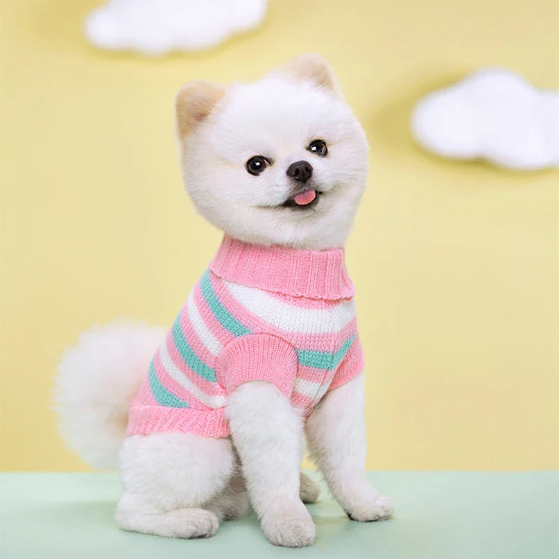 Classic Knit Sweater for Small to Medium Dogs-My Little Pet