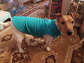 Warm Fleece Vest for Small Dogs and Cats with D-Ring Attachment-My Little Pet