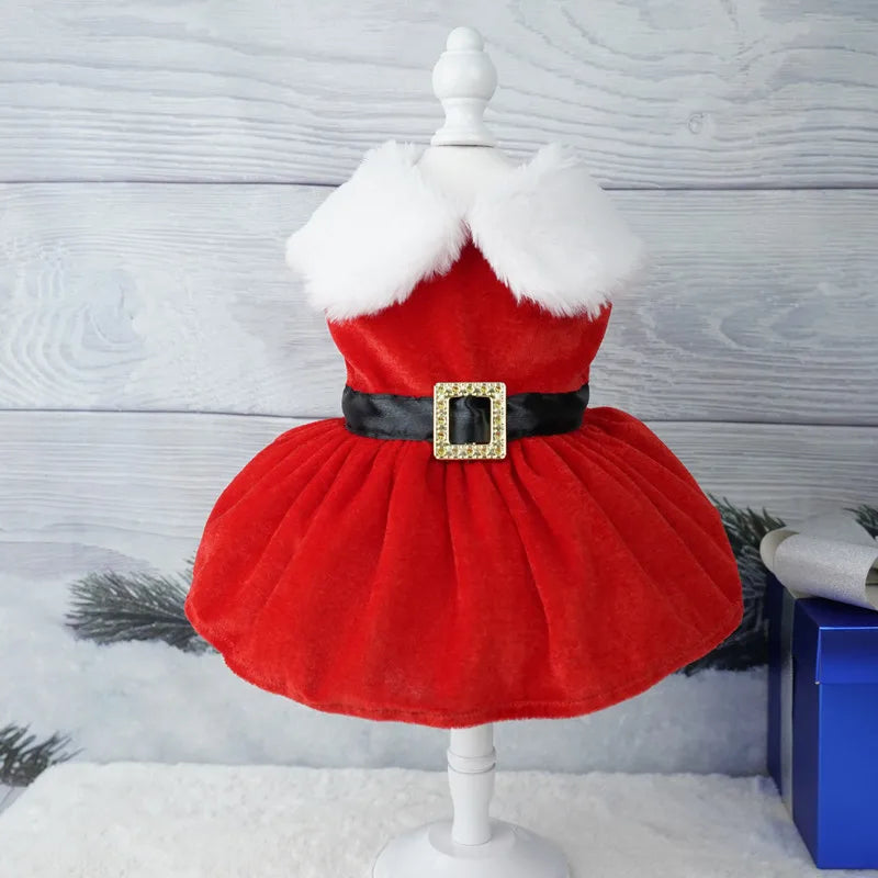 Festive Christmas Dress for Small Dogs and Cats-My Little Pet