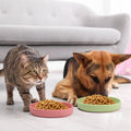 Silicone Pet Feeding Bowl for Dogs and Cats-My Little Pet