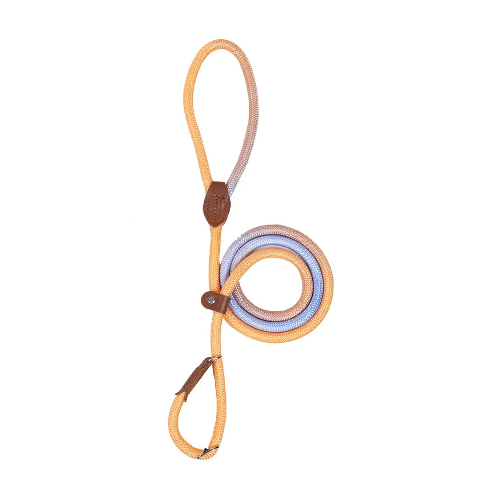 Durable Nylon Dog Leash for Puppies and Adult Dogs-My Little Pet