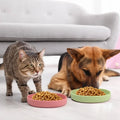 Silicone Pet Feeding Bowl for Dogs and Cats-My Little Pet