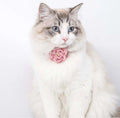 Adjustable Cat Flower Collar with Safety Button-My Little Pet