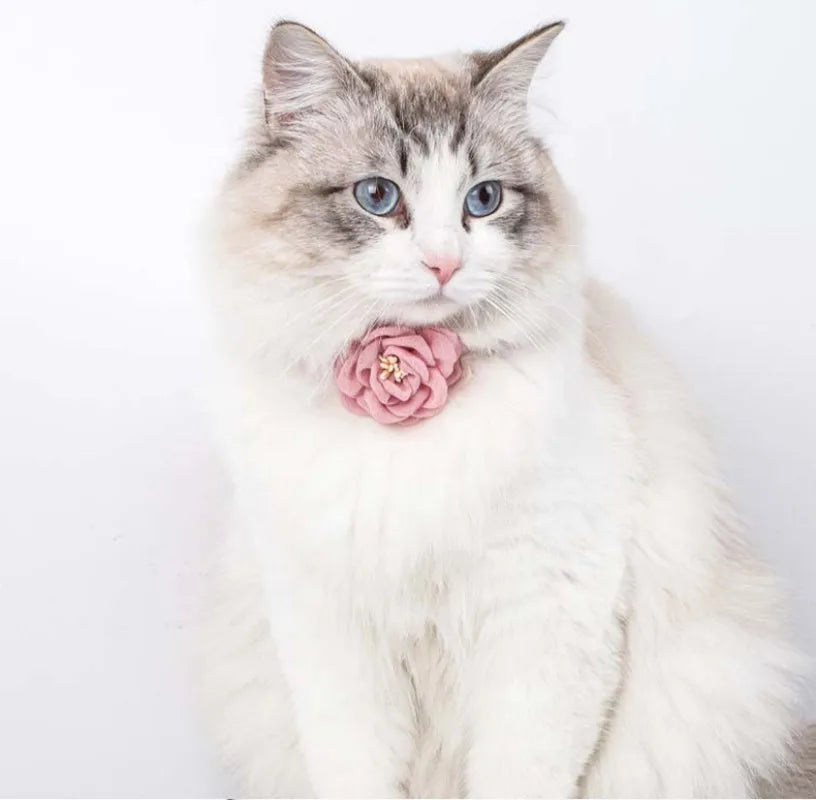 Adjustable Cat Flower Collar with Safety Button-My Little Pet