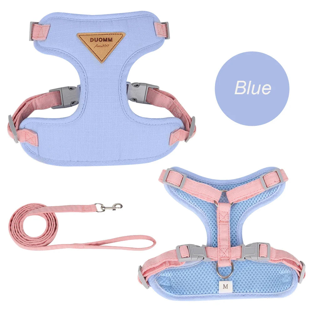 Fashionable Cat and Dog Harness with Leash – Comfortable Outdoor Walking Set-My Little Pet