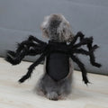 Spider Costume for Pets: Halloween Cosplay for Dogs and Cats-My Little Pet