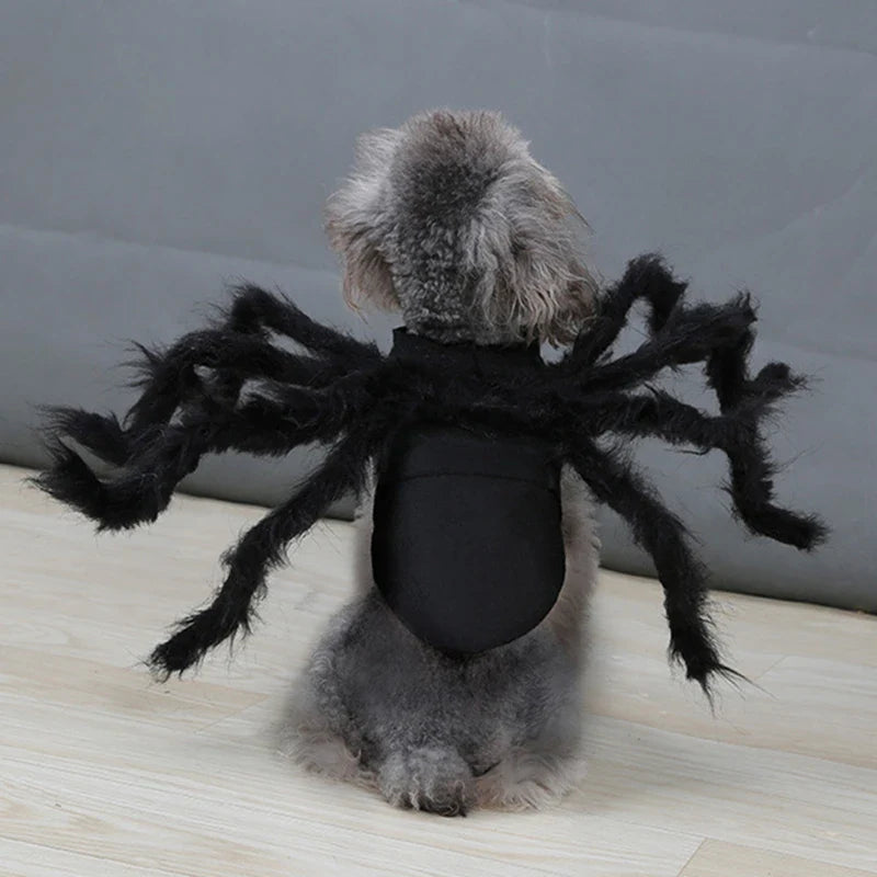 Spider Costume for Pets: Halloween Cosplay for Dogs and Cats-My Little Pet