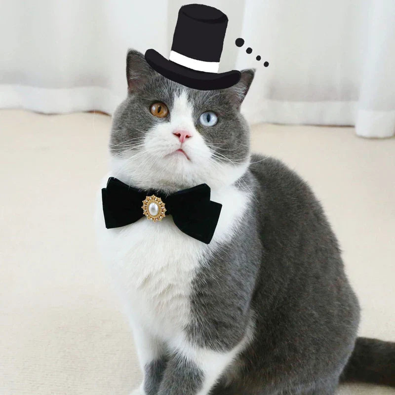 Elegant Velvet Cat Collar with Pearl and Bowknot-My Little Pet