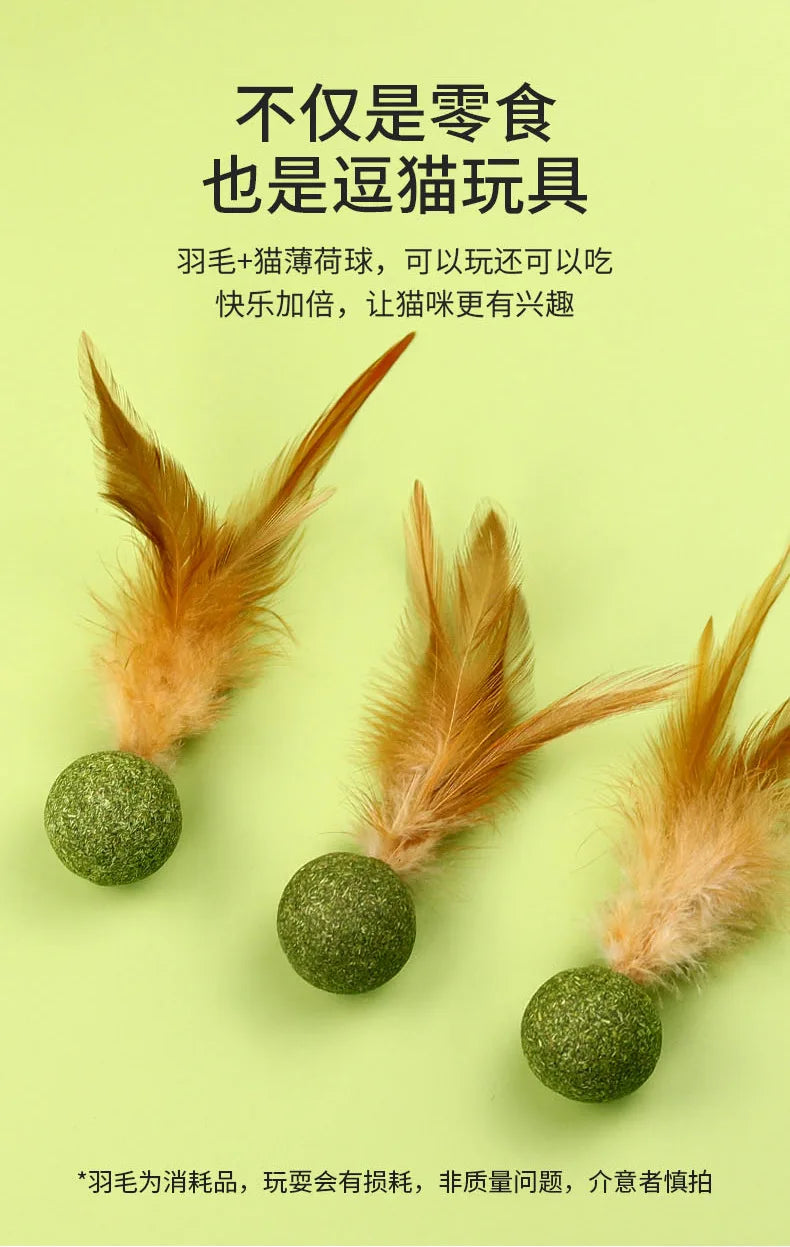 Feather Catnip Ball Toy for Cats - Enhances Digestion and Dental Health-My Little Pet