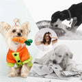 Deluxe Fleece Squeaky Toy Collection for Small to Medium Dogs-My Little Pet