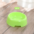 Slow Feeding Dog Bowl for Puppies and Adult Dogs-My Little Pet