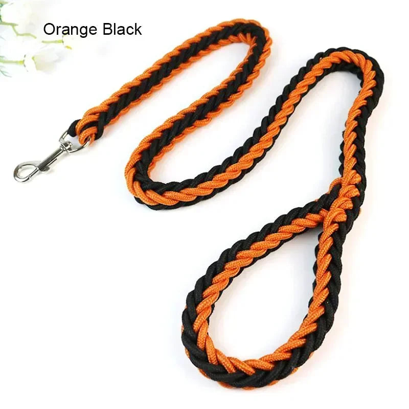 Nylon Dog Leash for Medium to Large Dogs – Training & Walking Lead - My Little Pet